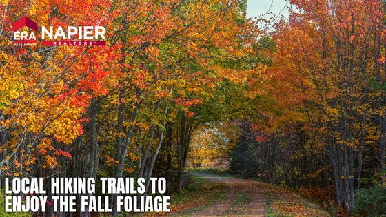 Local Hiking Trails to Enjoy the Fall Foliage | Napier ERA
